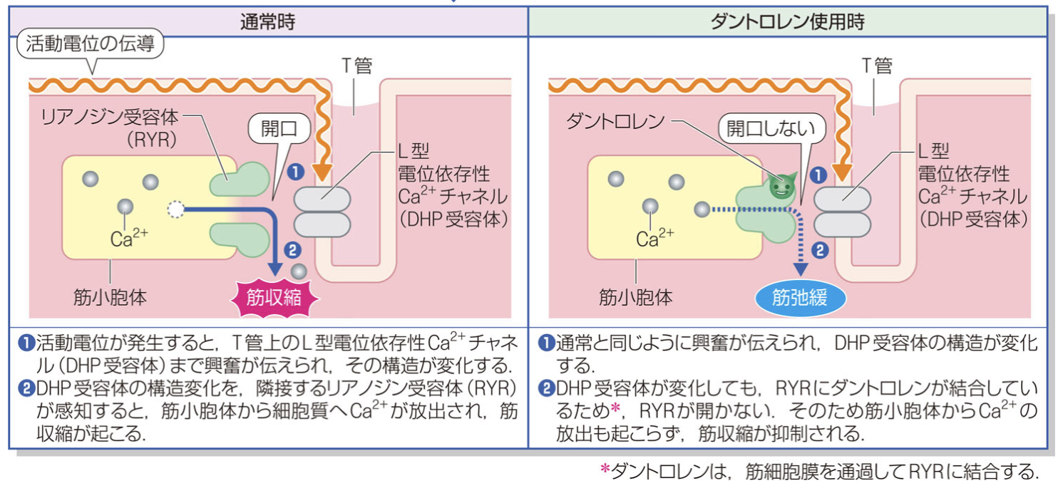 その後どのような予防策が考えられるでしょうか?