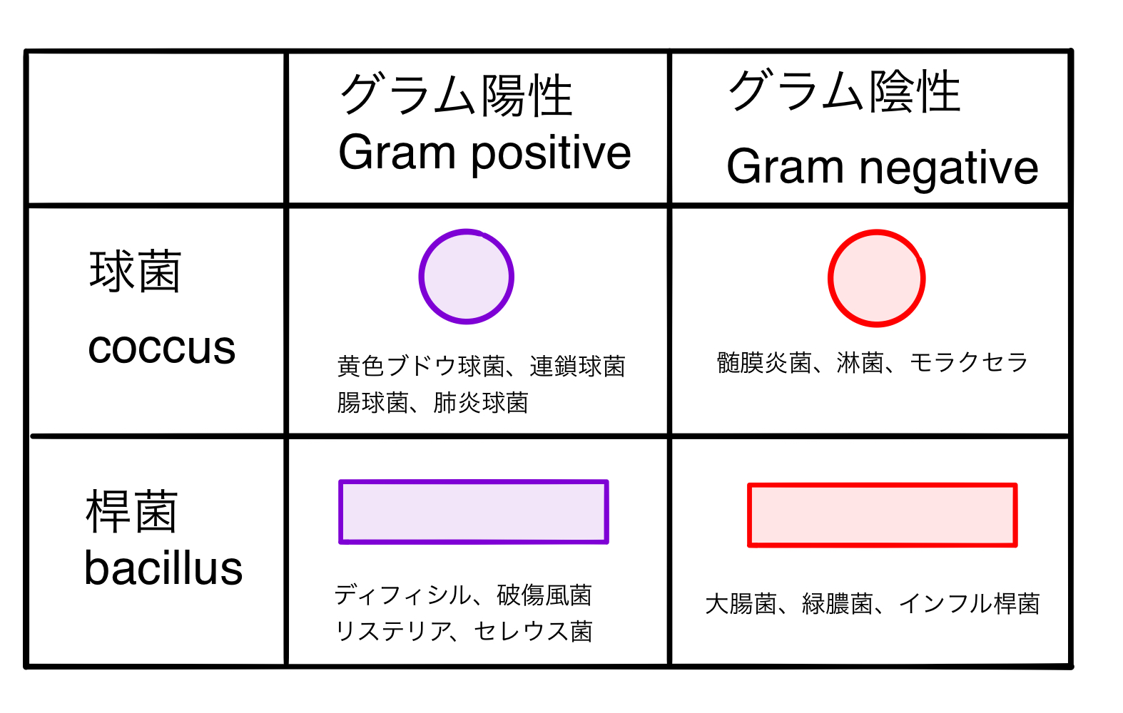 病原性グラム陽性菌